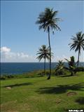 Cerro Gordo Beach - VEGA ALTA